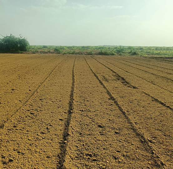 Bentonite Manufacturer, Supplier & Exporter